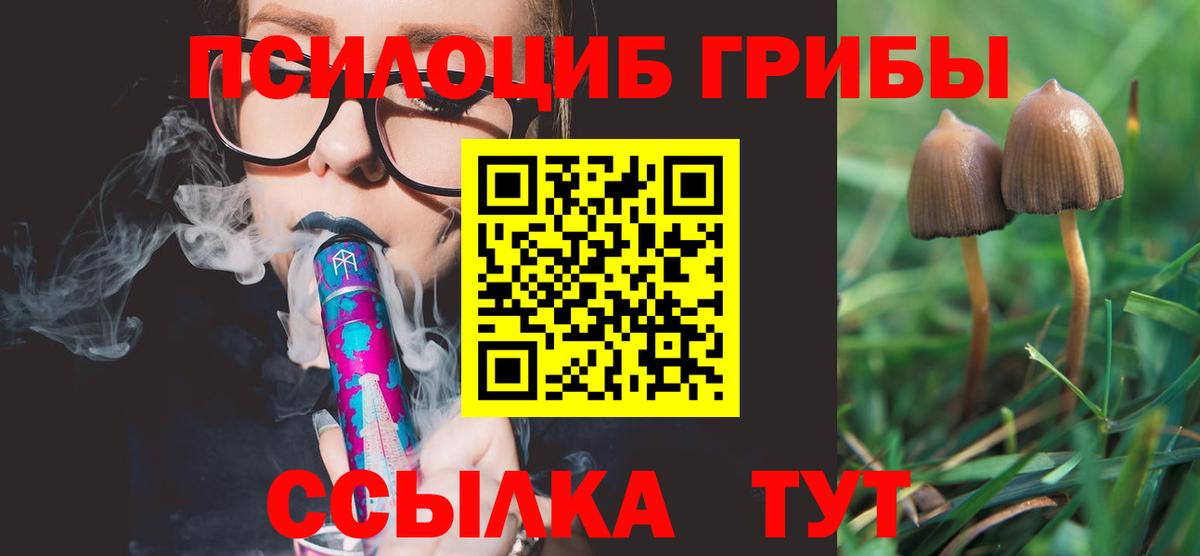 Псилоцибиновые грибы ЛСД Кисловодск